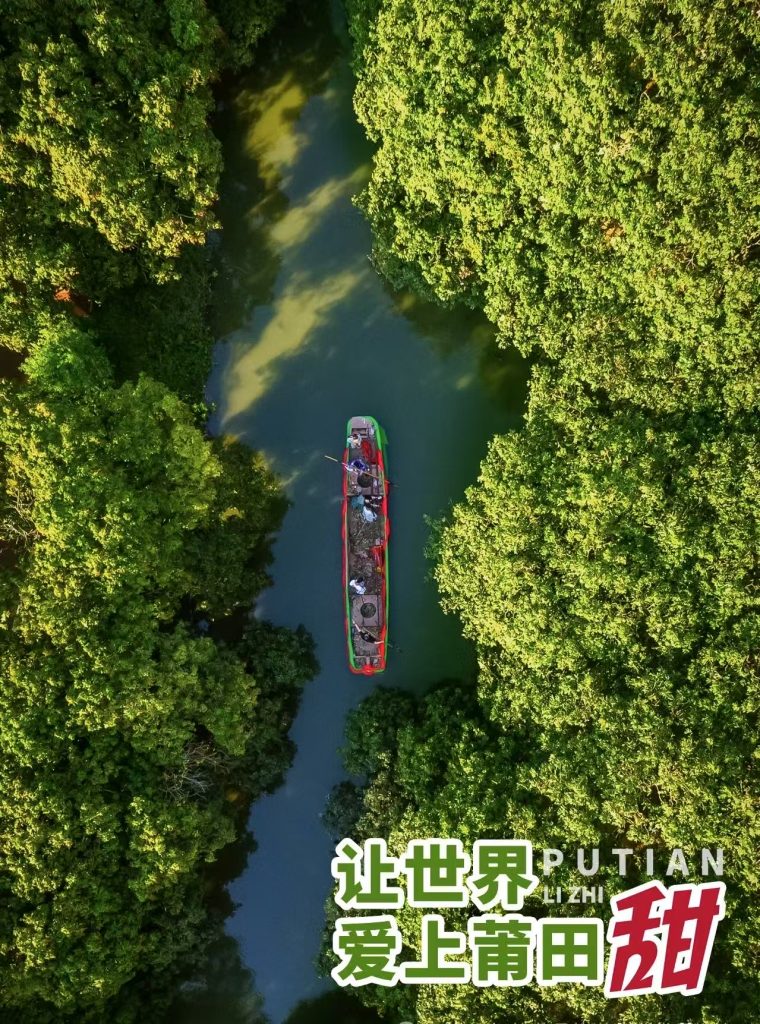 荔荫十里