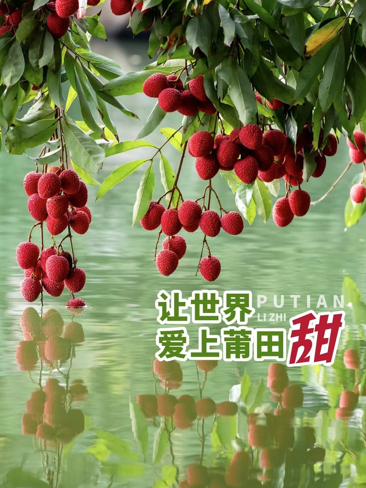 荔枝照镜