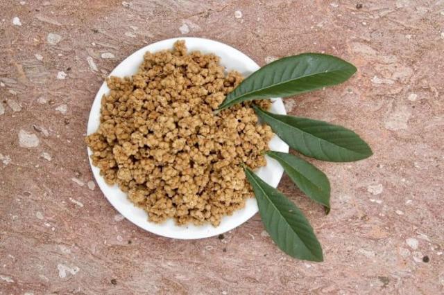 枇杷花茶