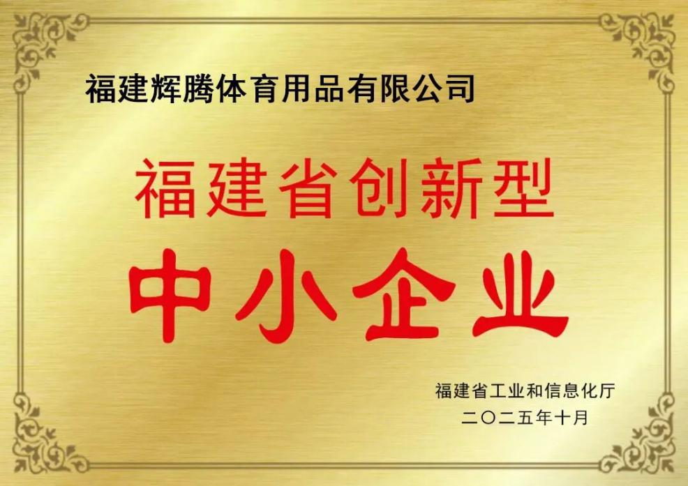 福建辉腾体育用品有限公司获评2025年“福建省创新型中小企业”认定